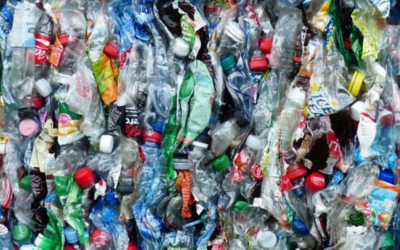 Anfrage: Plastik-Fasten-Aktion von der Stadt Karlsruhe unterstützen